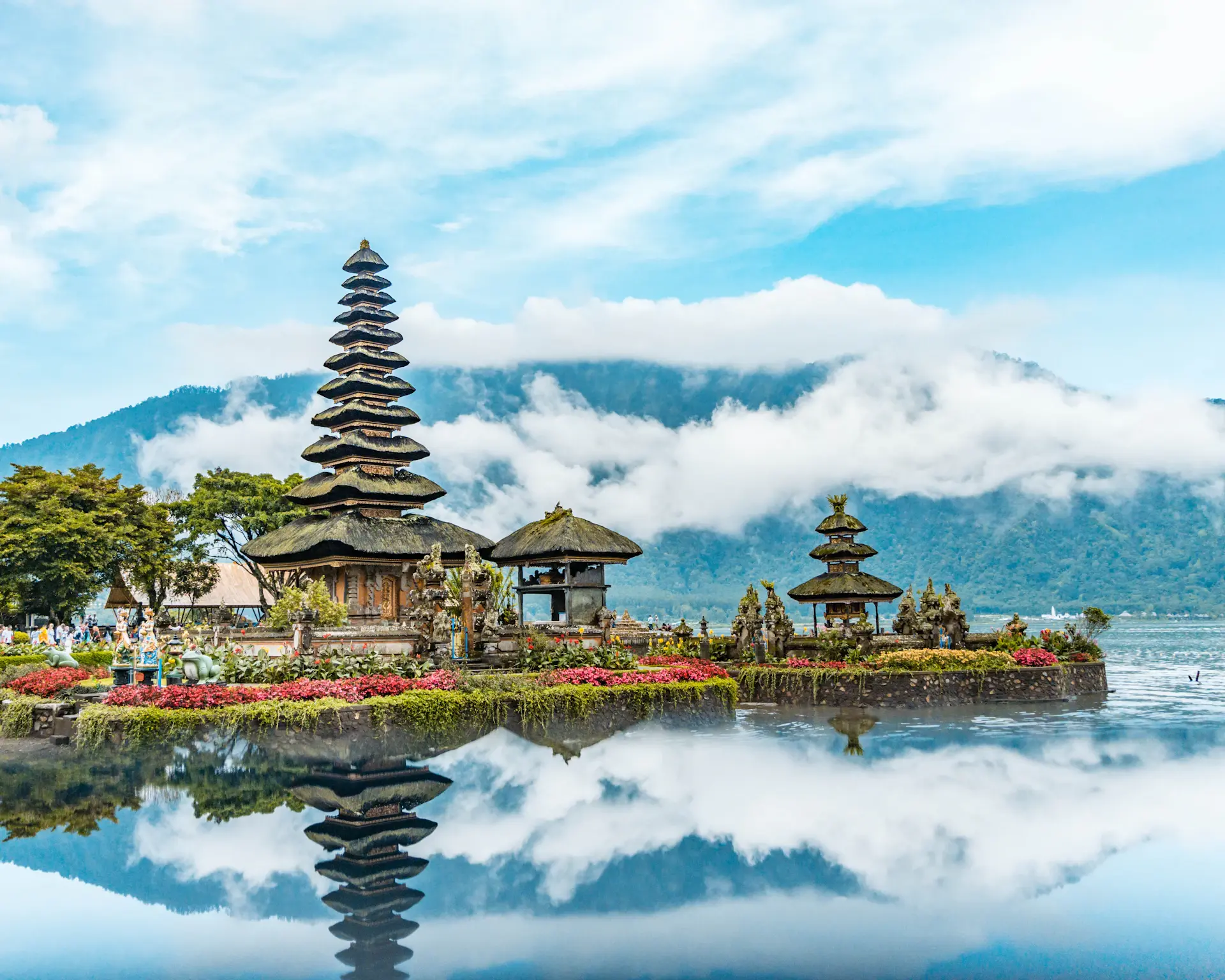 Rizières en terrasses verdoyantes à Bali