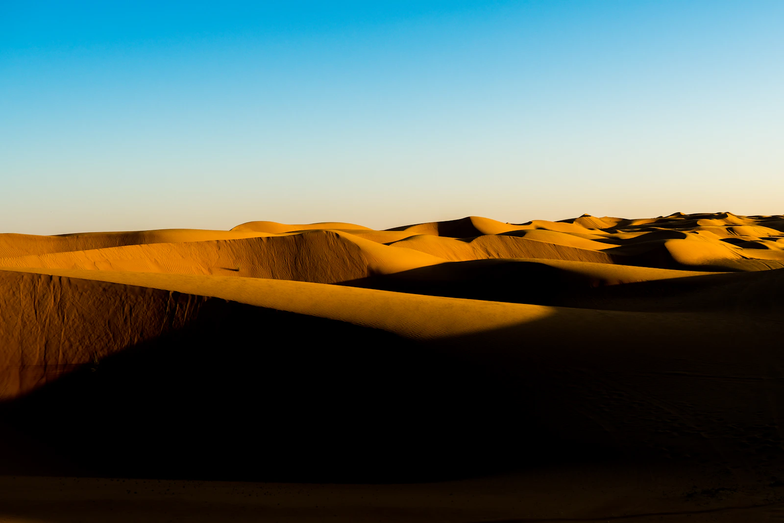 Dunes de Wahiba Sands sous un ciel bleu profond à Oman