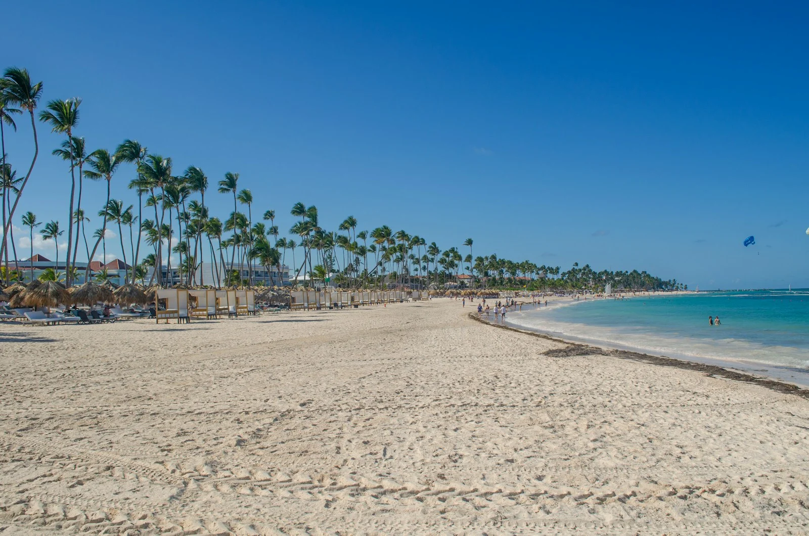 Plage de sable blanc et cocotiers à Punta Cana, République dominicaine
