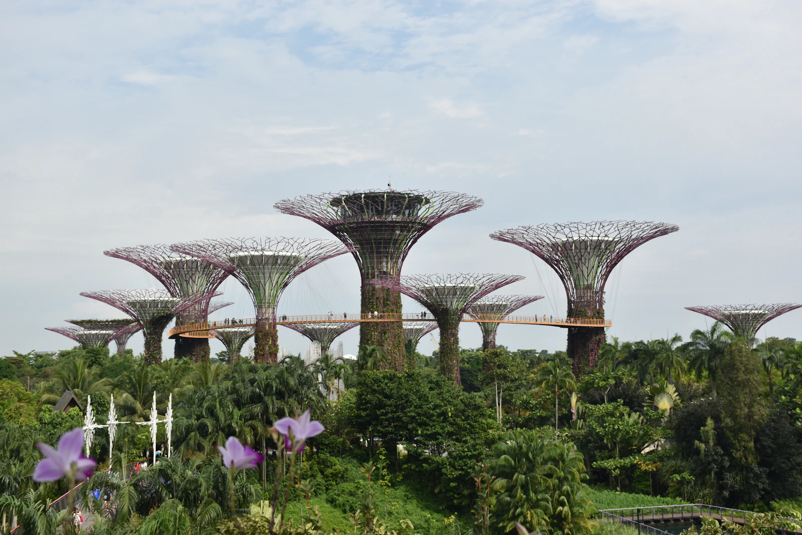 Supertree Grove illuminé à Gardens by the Bay, Singapour