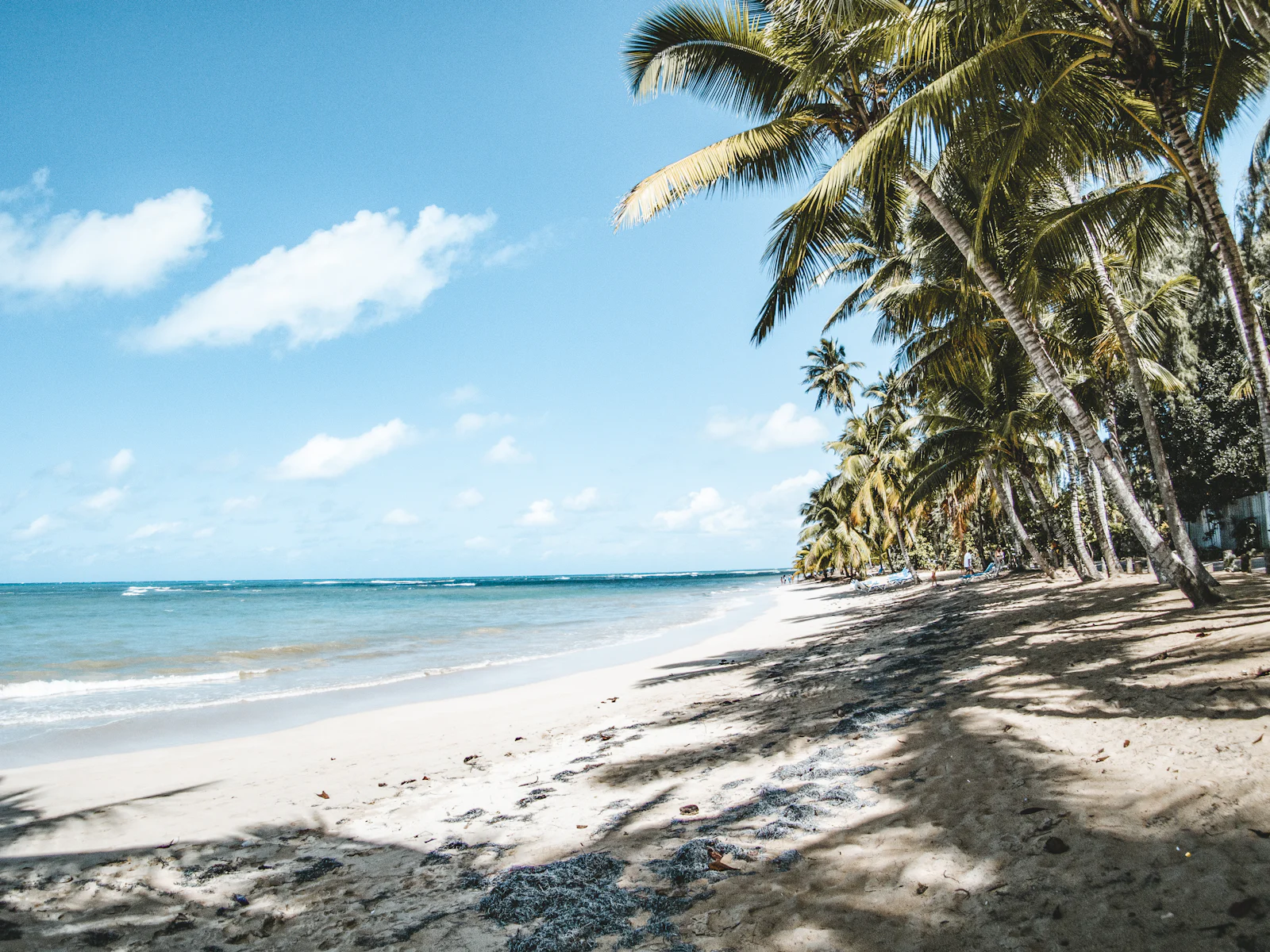Plage bordée de cocotiers à Las Terrenas, péninsule de Samaná