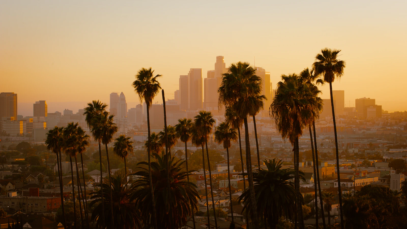 Palmiers devant les tours de Downtown Los Angeles au coucher du soleil