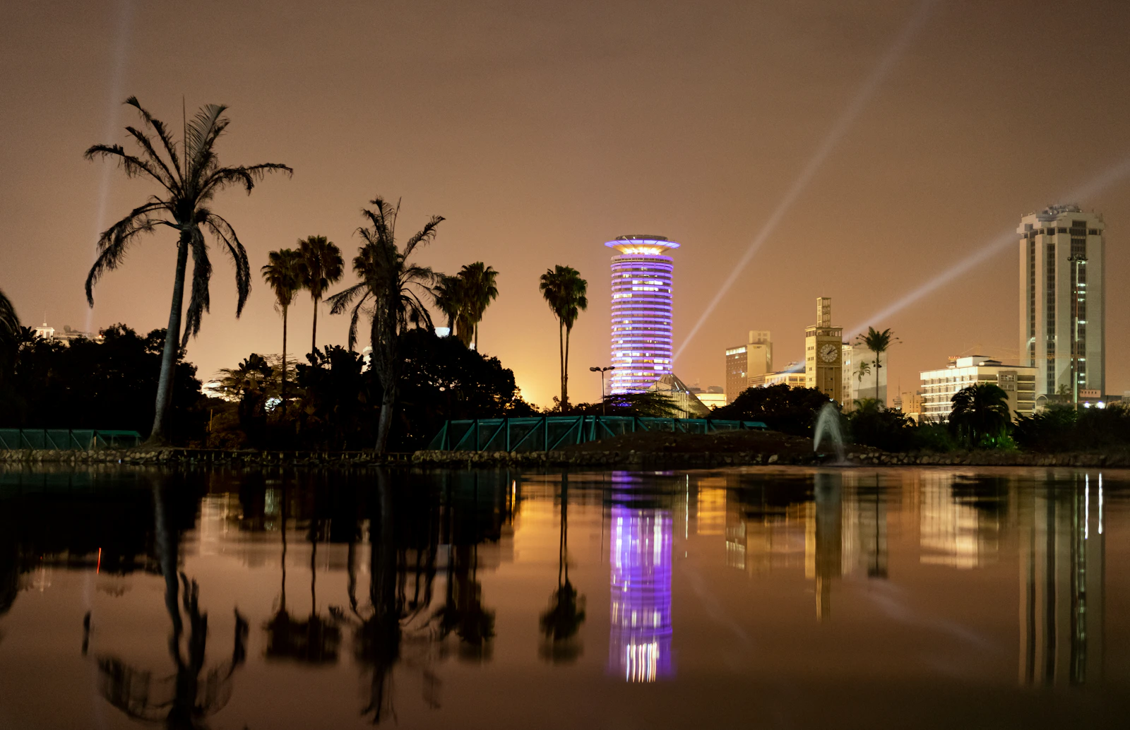 Vue de Nairobi de nuit, lumières et silhouettes d'arbres
