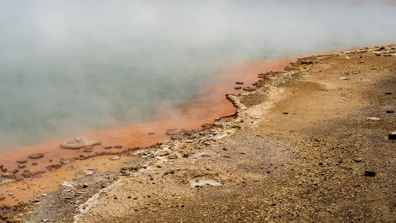 Vapeur s'élevant de la Champagne Pool aux bords orange à Wai-O-Tapu