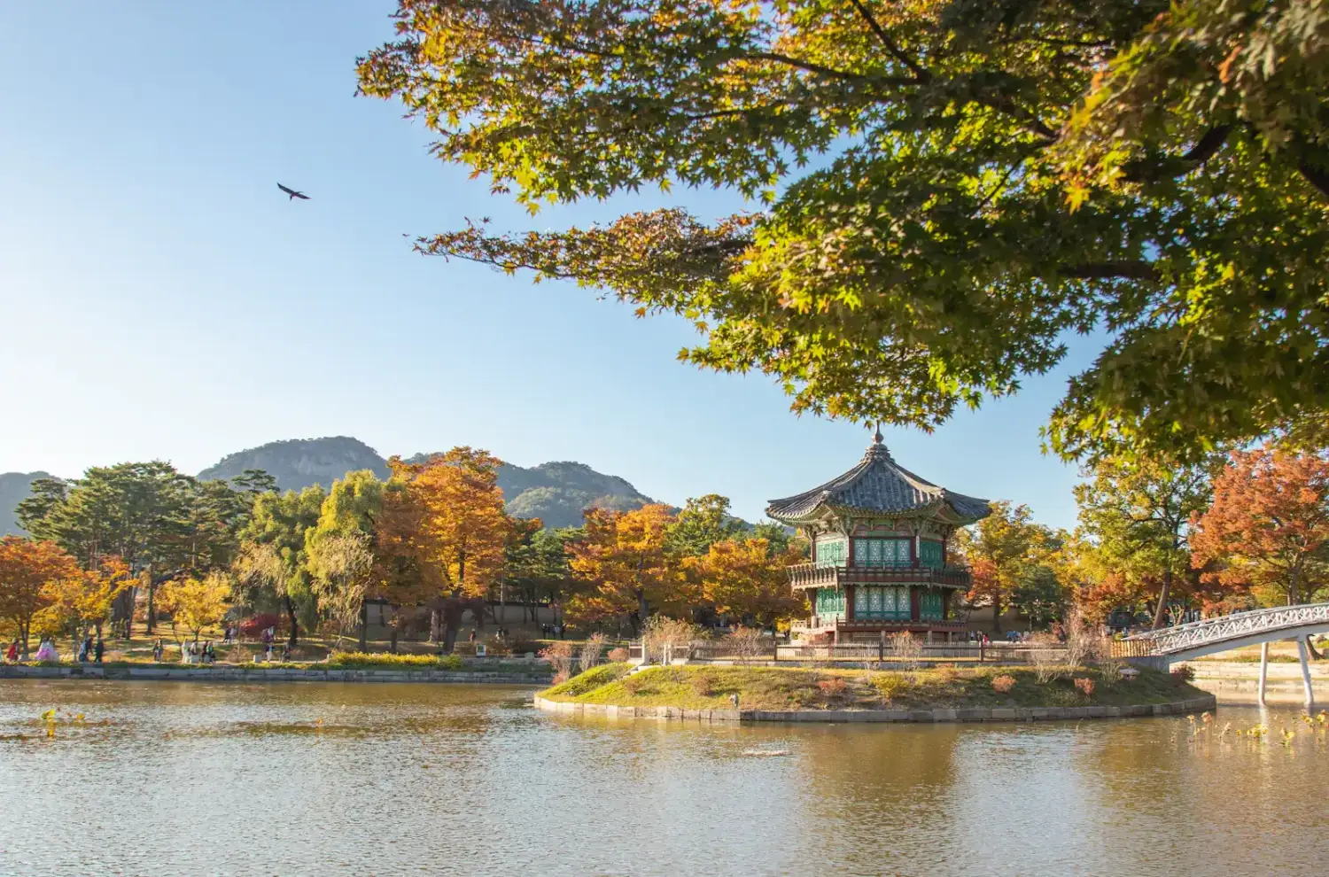 Toits du palais Gyeongbokgung de Séoul avec les gratte-ciel en arrière-plan