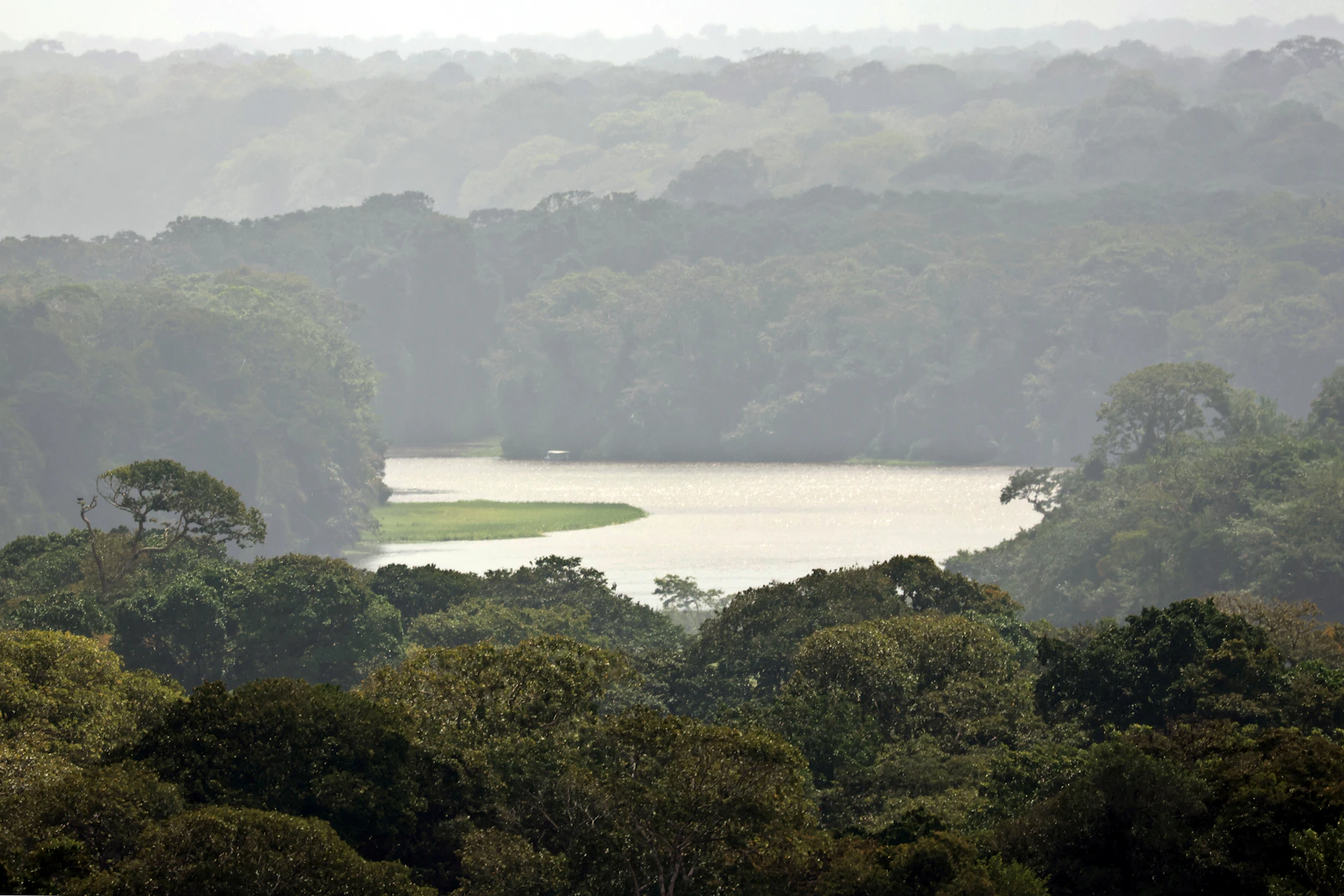 La forêt tropicale et les canaux de Tortuguero vus depuis le Cerro Tortuguero